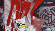 Lets Go Football GIF by FC Bayern Munich