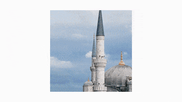 jtnfilm art fashion illustration design GIF