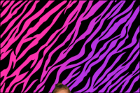 tomfoolerybooth love fun party wedding GIF