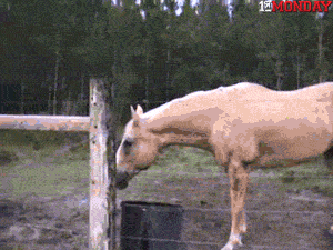 GIF by FirstAndMonday