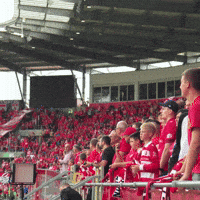 Football Club GIF by Widzew Łódź