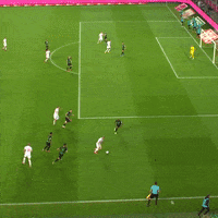 1 Fc Cologne Football GIF by 1. FC Köln
