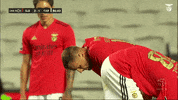 Sl Benfica Everton GIF by Sport Lisboa e Benfica