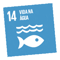 Sustentabilidade Sticker by Sicredi Centro Serra RS