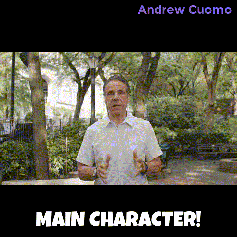New York Vote GIF by Andrew Cuomo