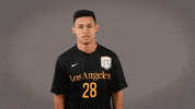 Soccer Ncaa GIF by Cal State LA Golden Eagles