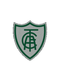 Serie A Futebol Sticker