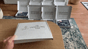 Ttt GIF by the traveling team