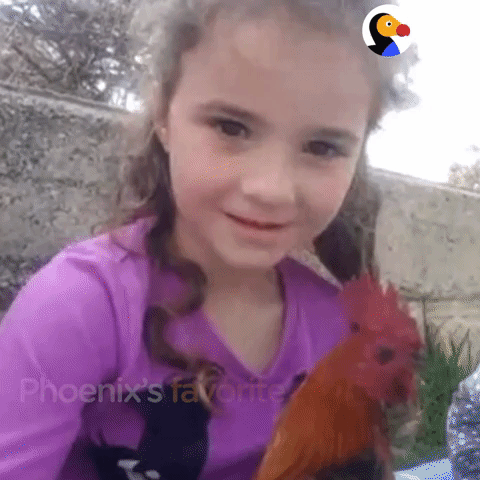 GIF by The Dodo