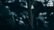 Whoniverse GIF by Doctor Who