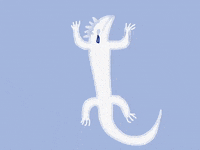 Cry Crying GIF by Barbara Pozzi