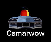 Z28 GIF