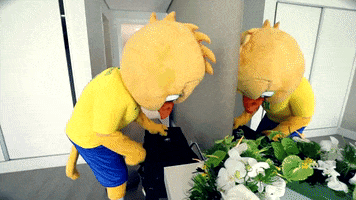 selecao brasileira brazilian mascot GIF by Confederação Brasileira de Futebol