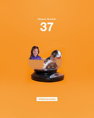 save them all best friends GIF by Best Friends Animal Society