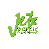 Jetski Aquabike Sticker by JetRebels