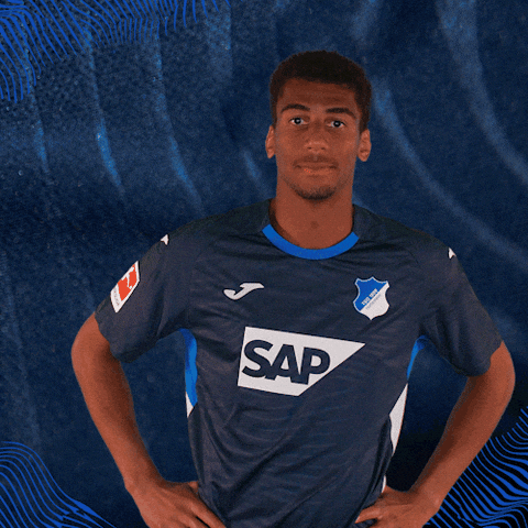 Sport Bundesliga GIF by TSG Hoffenheim