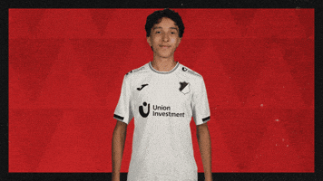 Tsg Hoffenheim Football GIF by Bundesliga