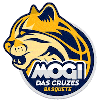 mogi das cruzes brazil Sticker by DIRECTV Liga de las Américas