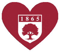 Gobroncs Sticker by Rider University