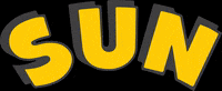 Elvis Presley Vinyl GIF by Sun Records