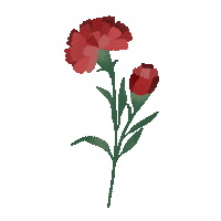 Flores Sticker by byflorecer