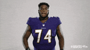 Charm City Football GIF by Baltimore Ravens