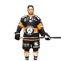 Hockey Fuessen Sticker by EV Füssen