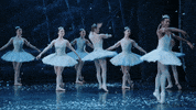 Nutcracker GIF by English National Ballet
