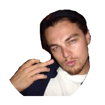 leo leonardo STICKER by imoji