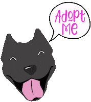 Adopt Pit Bull Sticker by HeARTs Speak