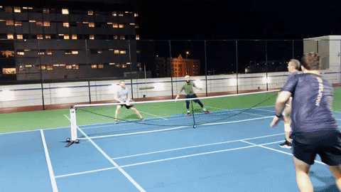 5IVEZERO giphygifmaker pickleball GIF