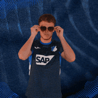 Sport Bundesliga GIF by TSG Hoffenheim