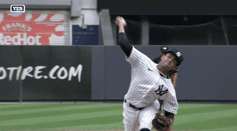 New York Yankees Wow GIF by Jomboy Media