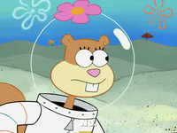 season 6 GIF by SpongeBob SquarePants