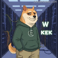 Shiba Inu Lol GIF by Doge Pound