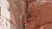 Carpe Dm With Juanpa GIF by The Roku Channel