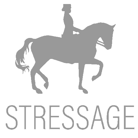 tillymphotography giphyupload riding equestrian dressage Sticker