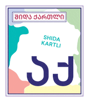 Georgia GIF by TBC Bank