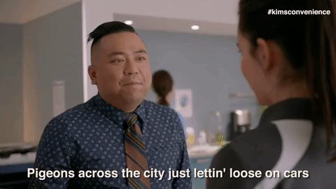 summer city GIF by Kim's Convenience