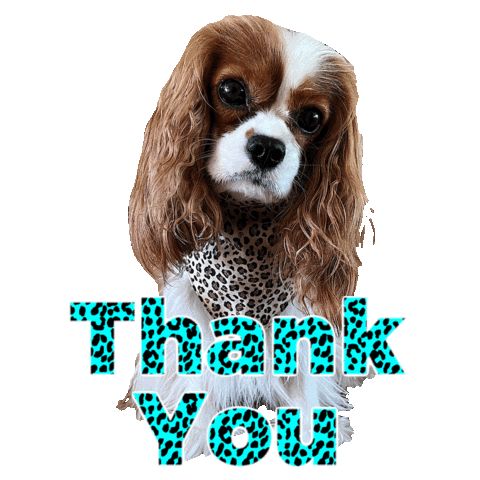 Thanks Sticker by Pimp Yo Pets