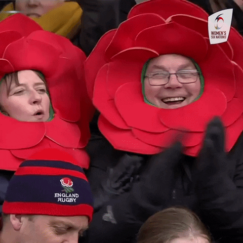 Womens6Nations fan fans womens six nations GIF
