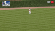 Cant See Chicago Cubs GIF