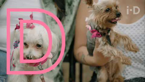 i-d beauty GIF by VICE Media Spain