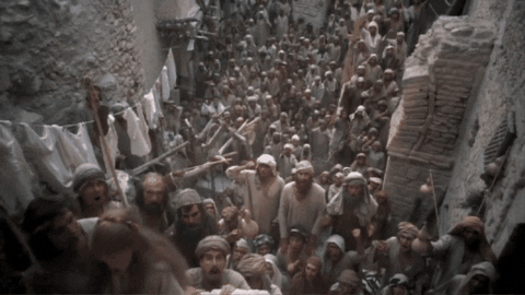 sarahmcnitt giphygifmaker GIF