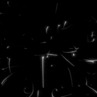 Black And White Motion GIF by xponentialdesign