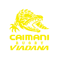 Giallo Serieb Sticker by Rugby Viadana 1970