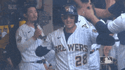 Regular Season Sport GIF by MLB