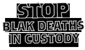 First Nations Naidoc Sticker by Stickerbaby