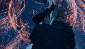 Code Vein Vampire GIF