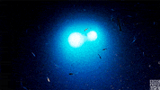 blue planet oceans GIF by BBC America